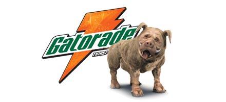 Gatorade