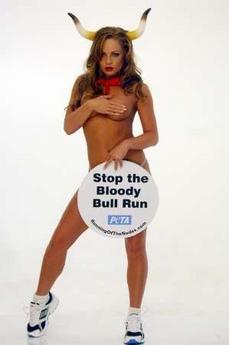 Stop the Bloody Bull Run