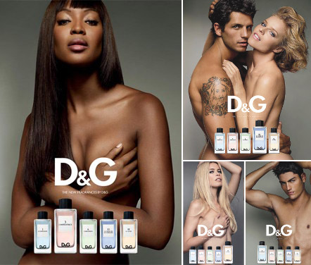   D&G