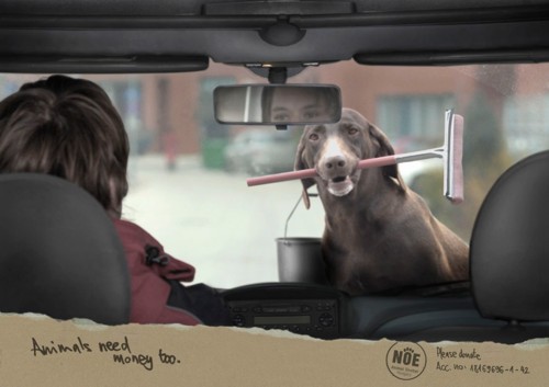 "", Leo Burnett,    NOE Animal Shelter