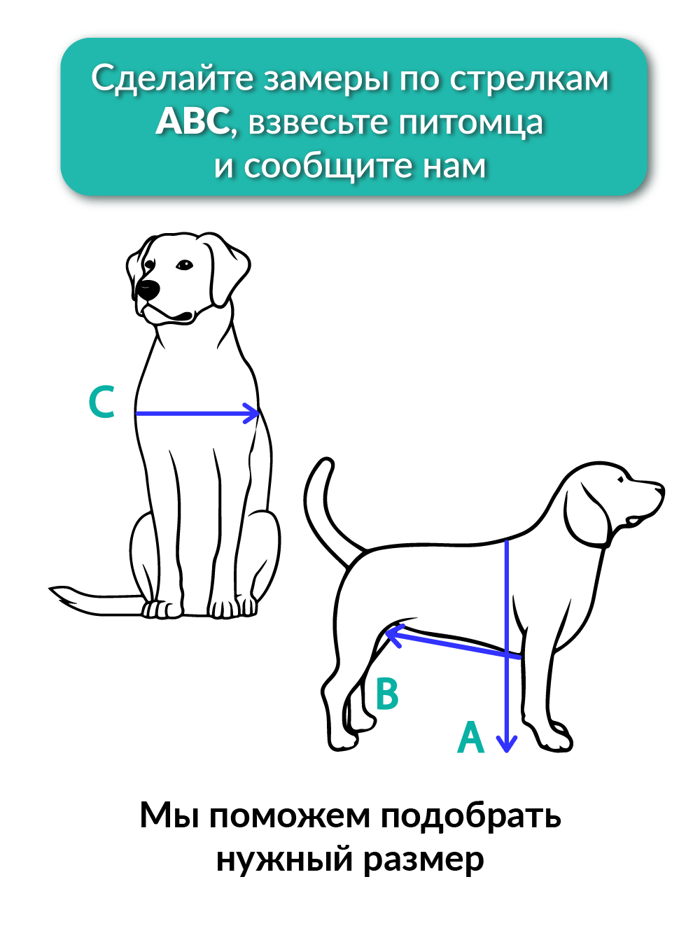Схема для замеры инвалидной коляски для собак и кошек