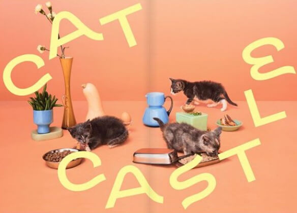 «Не классические кошачьи мордочки»: дизайнеры создали шрифт из кошачьих хвостов