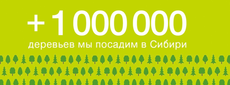 S7 Airlines завершила сбор средств для высадки деревьев в Сибири