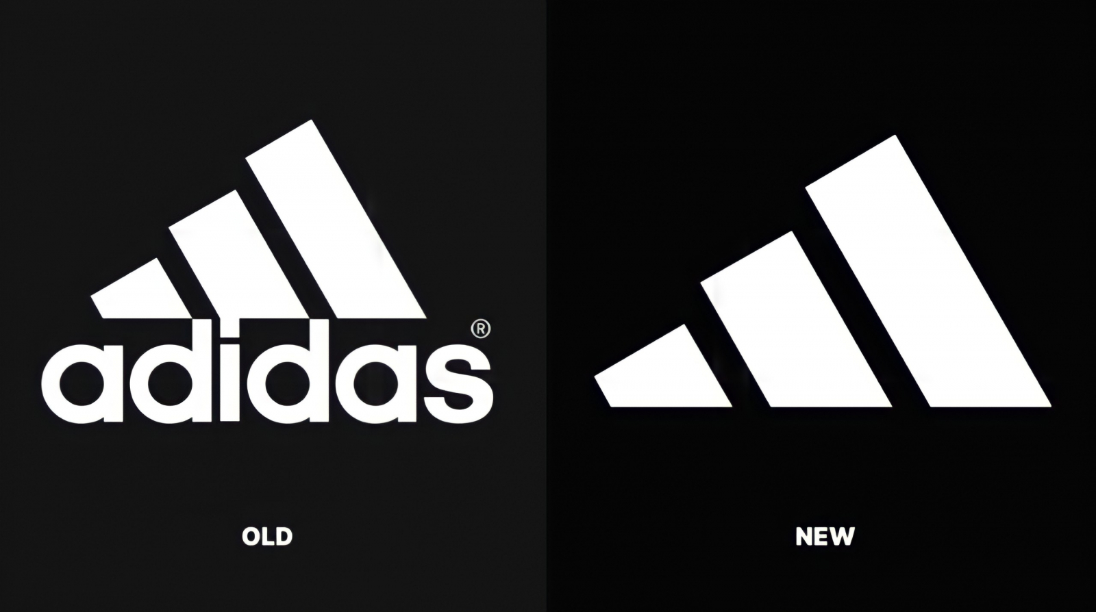 insecto Docenas insulto Adidas может отказаться от названия в логотипе