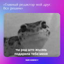 Письмо бабушке, пиар-гороскоп и мемы: агентства поздравляют PR-специалистов