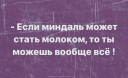 Подборка ко Дню рекламиста: поздравления и мемы от брендов и агентств