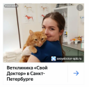 Кейс Finepromo и ветклиники «Свой доктор»: настройка, запуск и отбор эффективной кампании