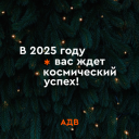 С Новым годом! Встречаем 2025-ый с лидерами рекламной индустрии